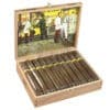20221212105230 aladino corojo toro 20 1 br backup 2.jpg