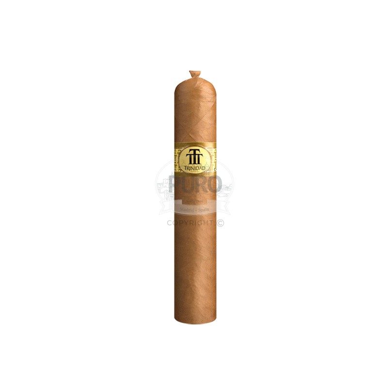 Cigares Trinidad Vigia SBN (12) - Casa Del Puro